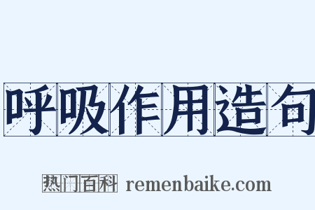 呼吸作用造句是什么意思的图片